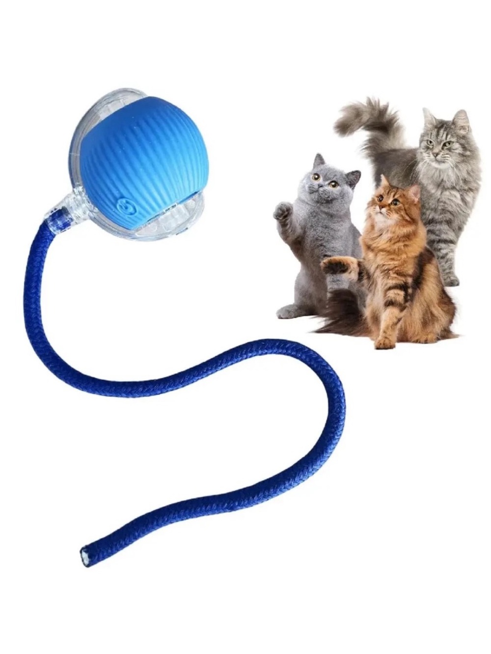 Interactive Cat Toy Ball with Rope - Picture 2 of 4